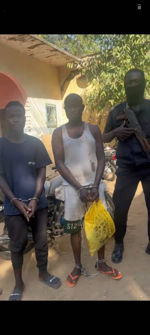 UN GANG DE VOLEURS DE MOTOS DÉMANTELÉ À KOUSSERI