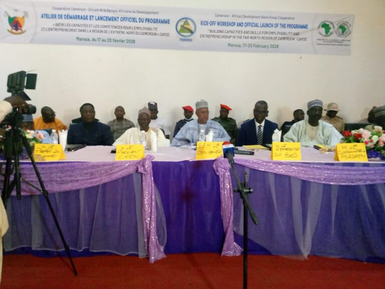 Programme de reconstruction de l’Extrême-Nord : 89, 2 milliards pour la transformation socio-économique