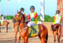 Cameroon International Super Cup : le cheval Observateur sacré champion à Maroua