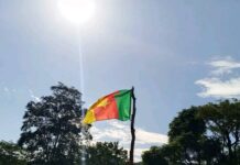 Nord – Cameroun : l’École publique d’application de Sangué face au défi du manque de salles de classe